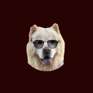 DogeFather (DOGEF) 