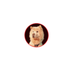 DogeFather (DOGEF)