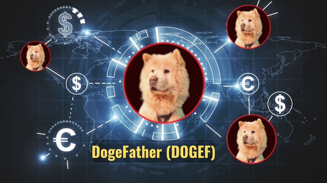 DOGEF is Coming to Sui Network! The DogeFather is Here!