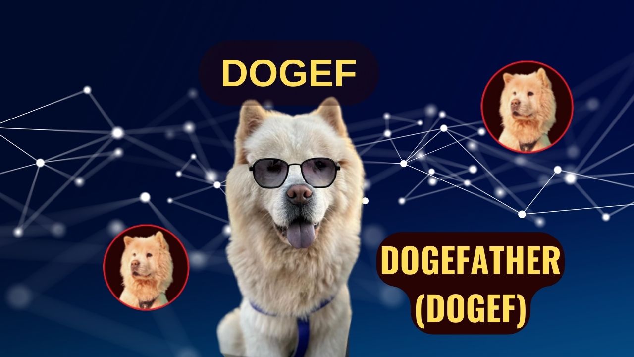 DOGEF’s Unstoppable Rally: Will It Reach New Heights?