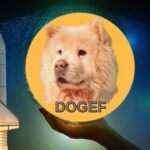 DOGEF