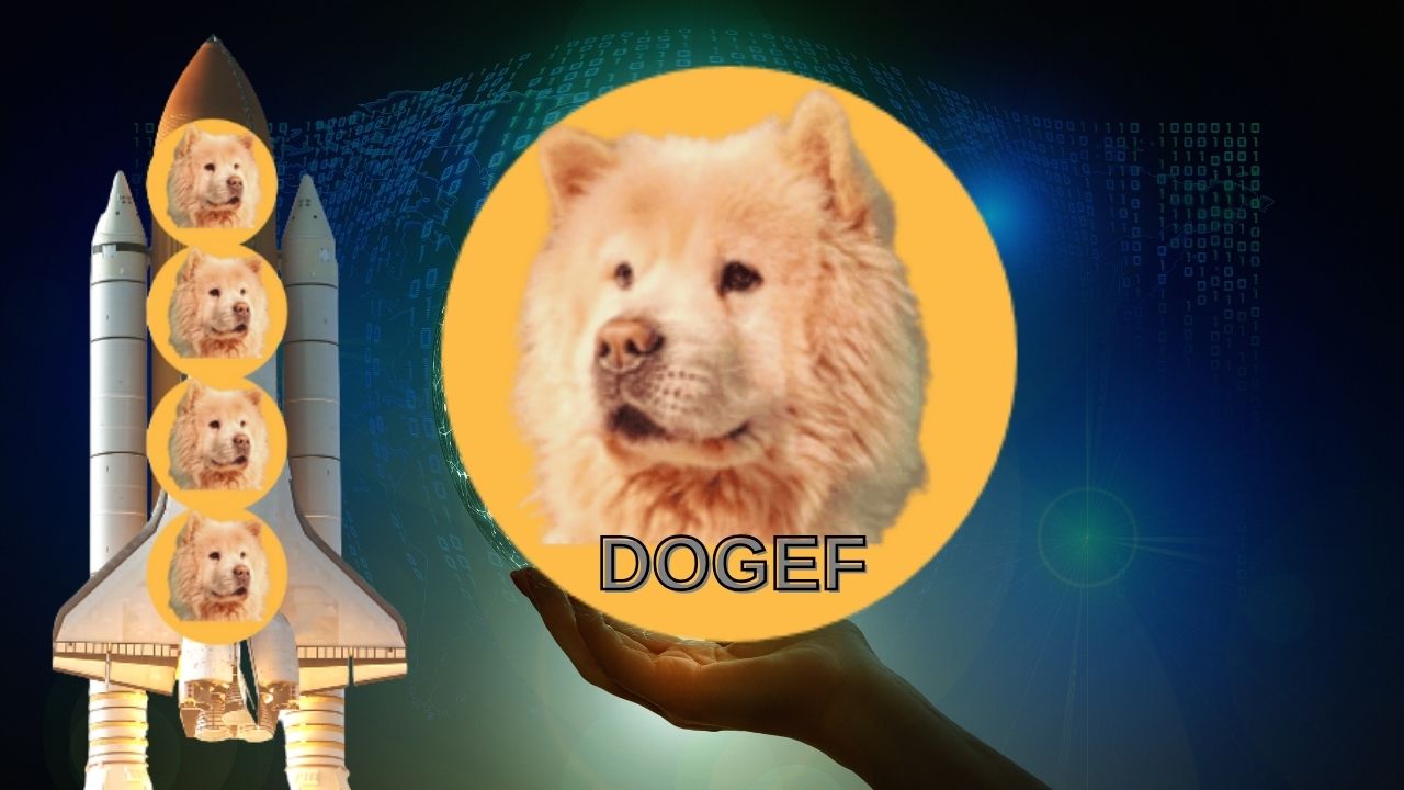 DOGEF Enters the Market and Creates a Storm!