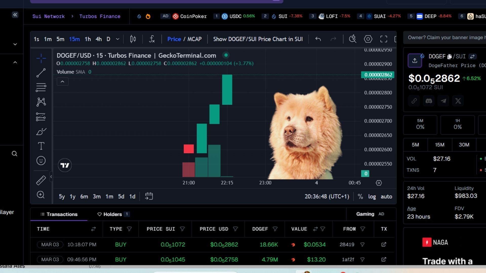 DOGEF is Gaining Momentum!